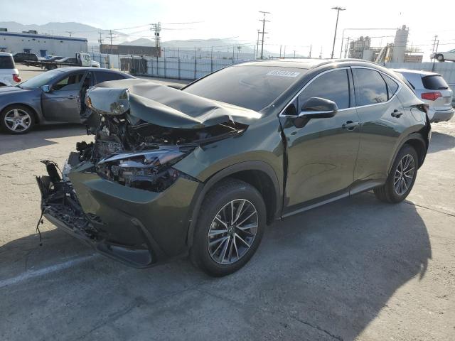 LEXUS NX 350H BA 2024 jtjgkcez4r2026519