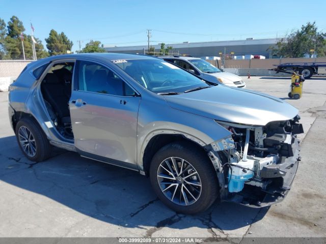 LEXUS NX 2024 jtjgkcez4r5014658