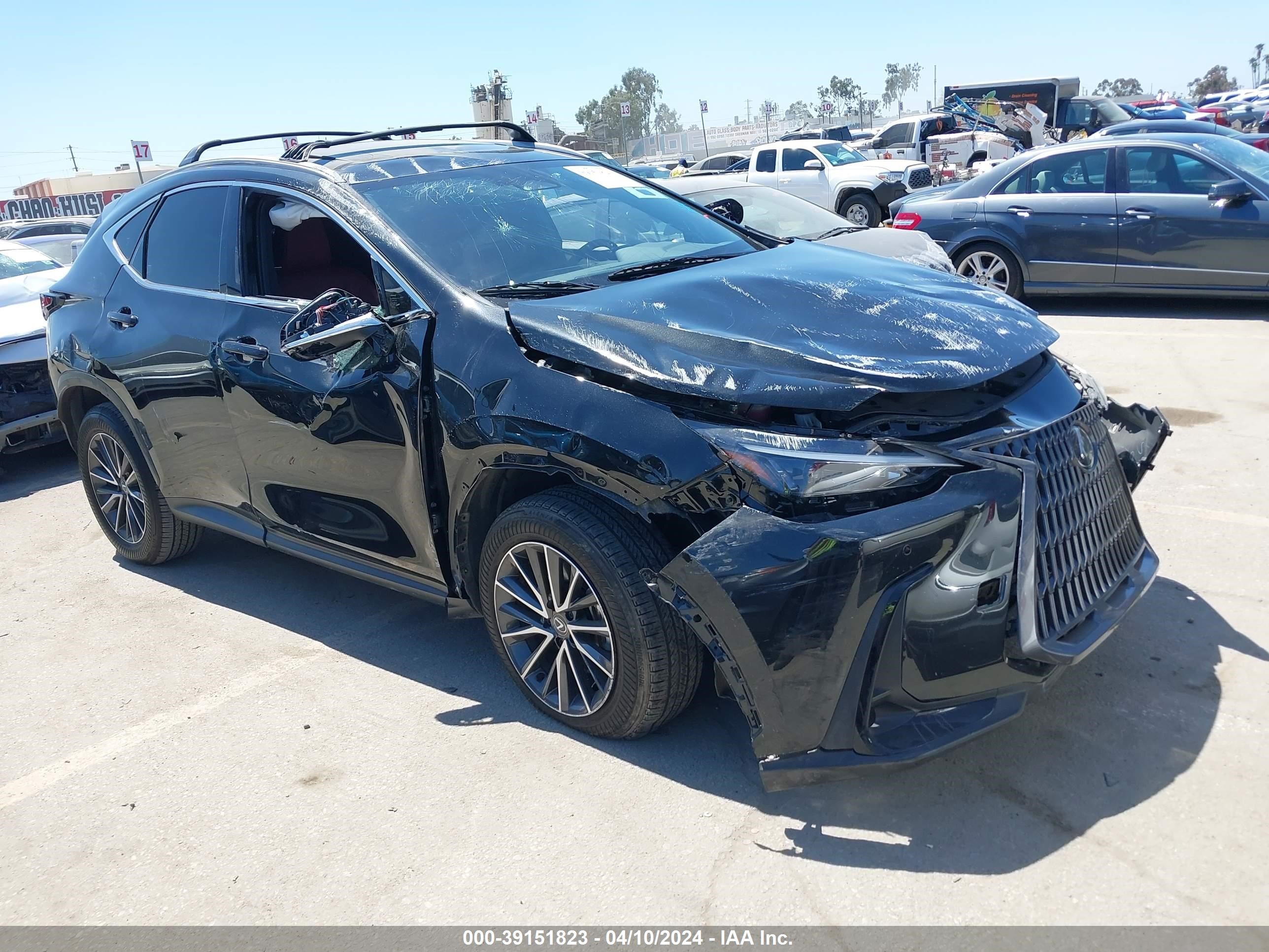 LEXUS NX 2024 jtjgkcez4r5015745