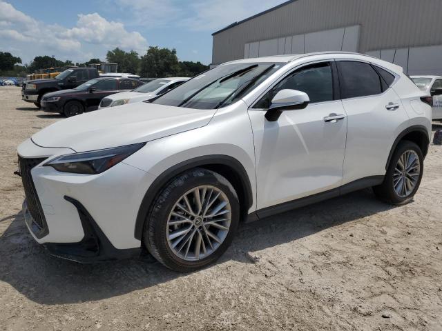 LEXUS NX 350H 2022 jtjgkcez5n5000486