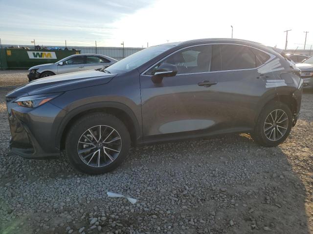 LEXUS NX 350H BA 2024 jtjgkcez5r2024939