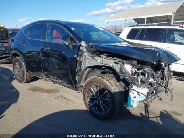 LEXUS NX 2024 jtjgkcez5r2026593