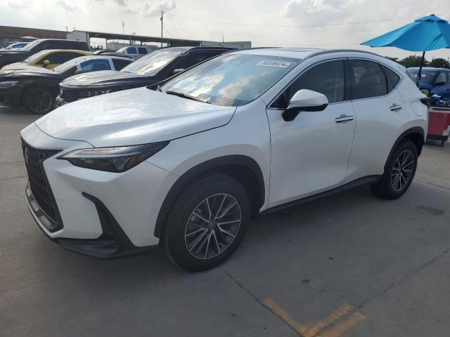 LEXUS NX 350H BA 2024 jtjgkcez6r5021515