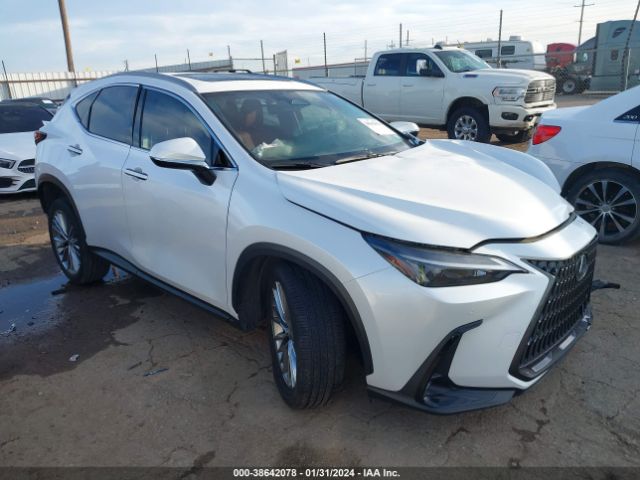 LEXUS NULL 2023 jtjgkcez7p5007782