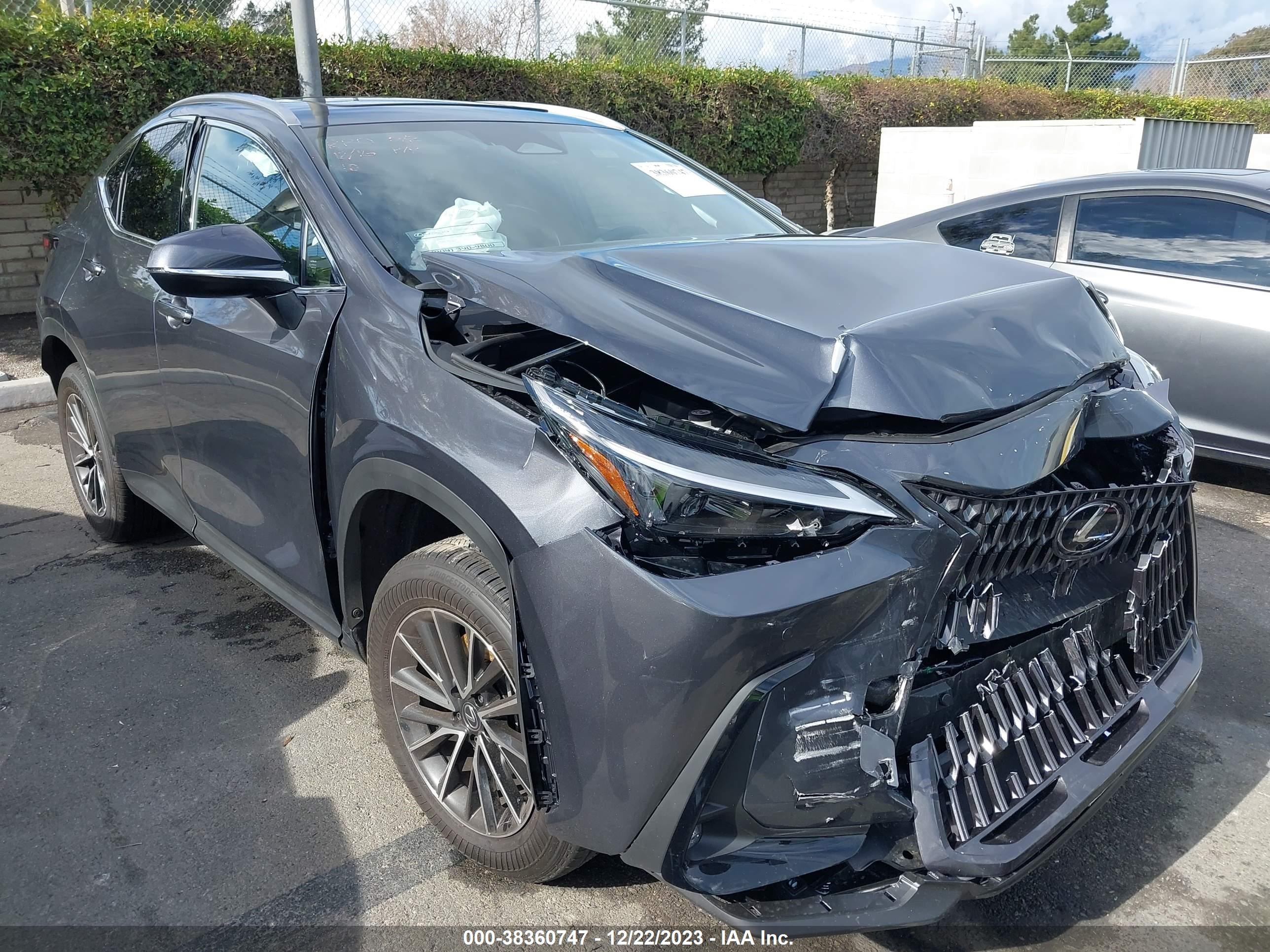 LEXUS NX 2024 jtjgkcez7r2026885