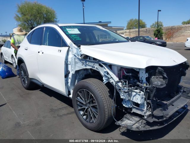 LEXUS NX 2024 jtjgkcez7r2030130