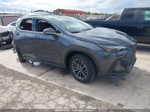 LEXUS NX 2024 jtjgkcez9r2034972