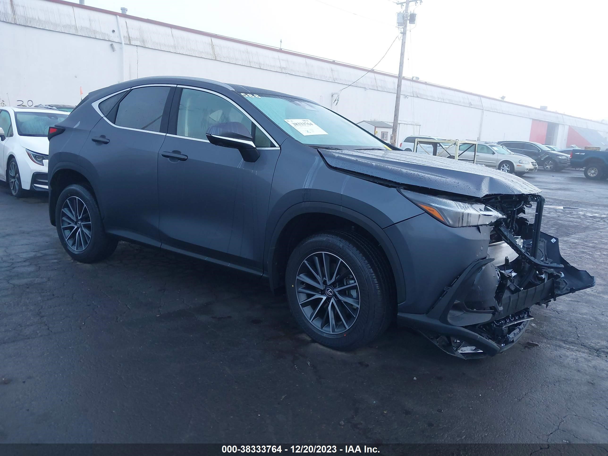 LEXUS NX 2024 jtjgkcezxr5015958