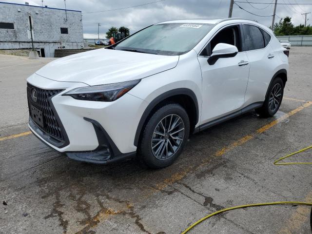 LEXUS NX 350H BA 2024 jtjgkcezxr5021825