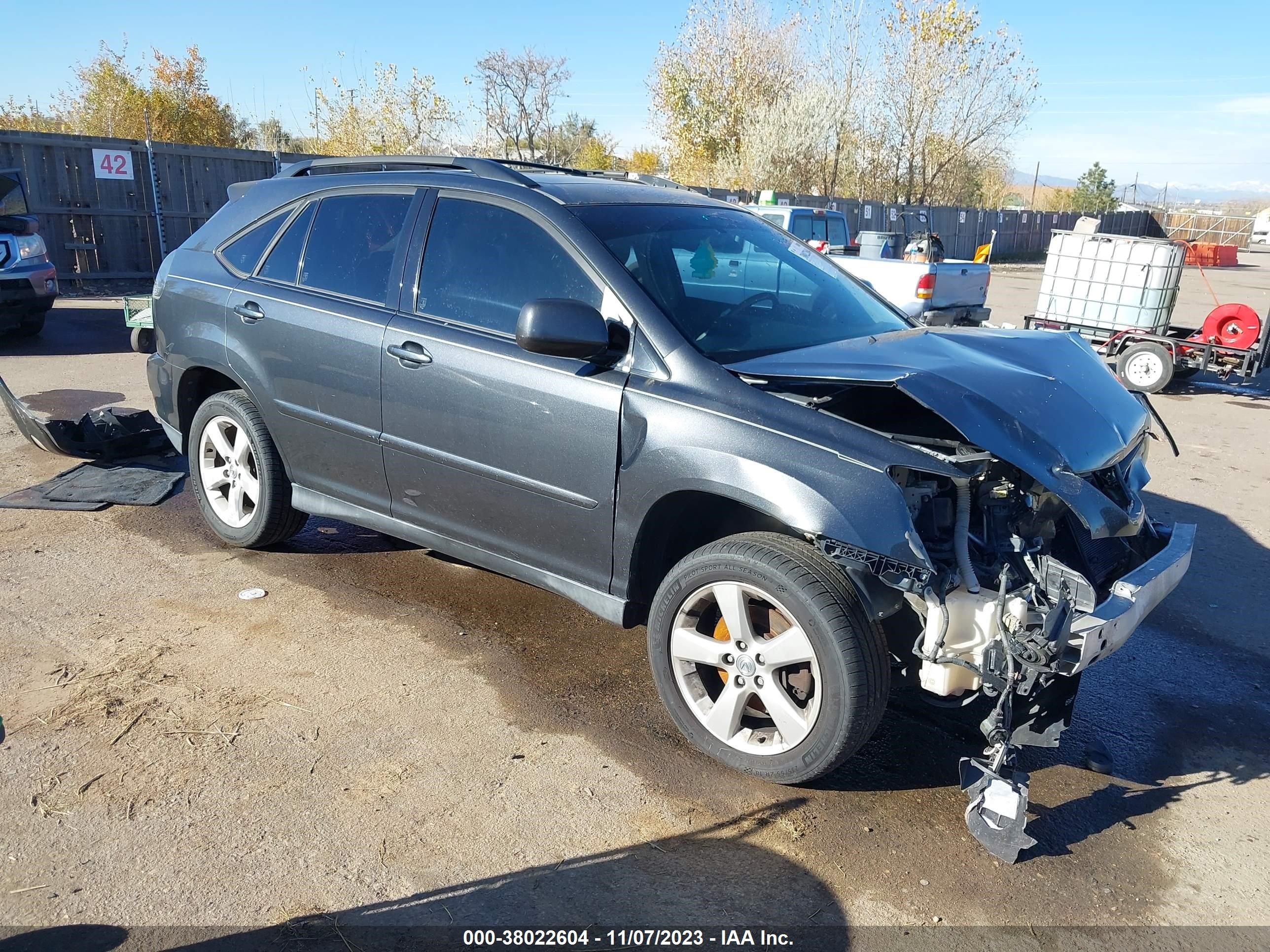 LEXUS RX 2004 jtjha31u040030752