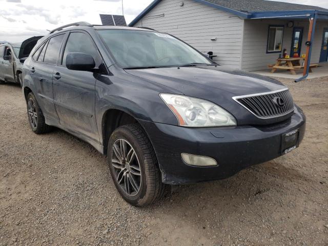 LEXUS RX 330 2004 jtjha31u140013040