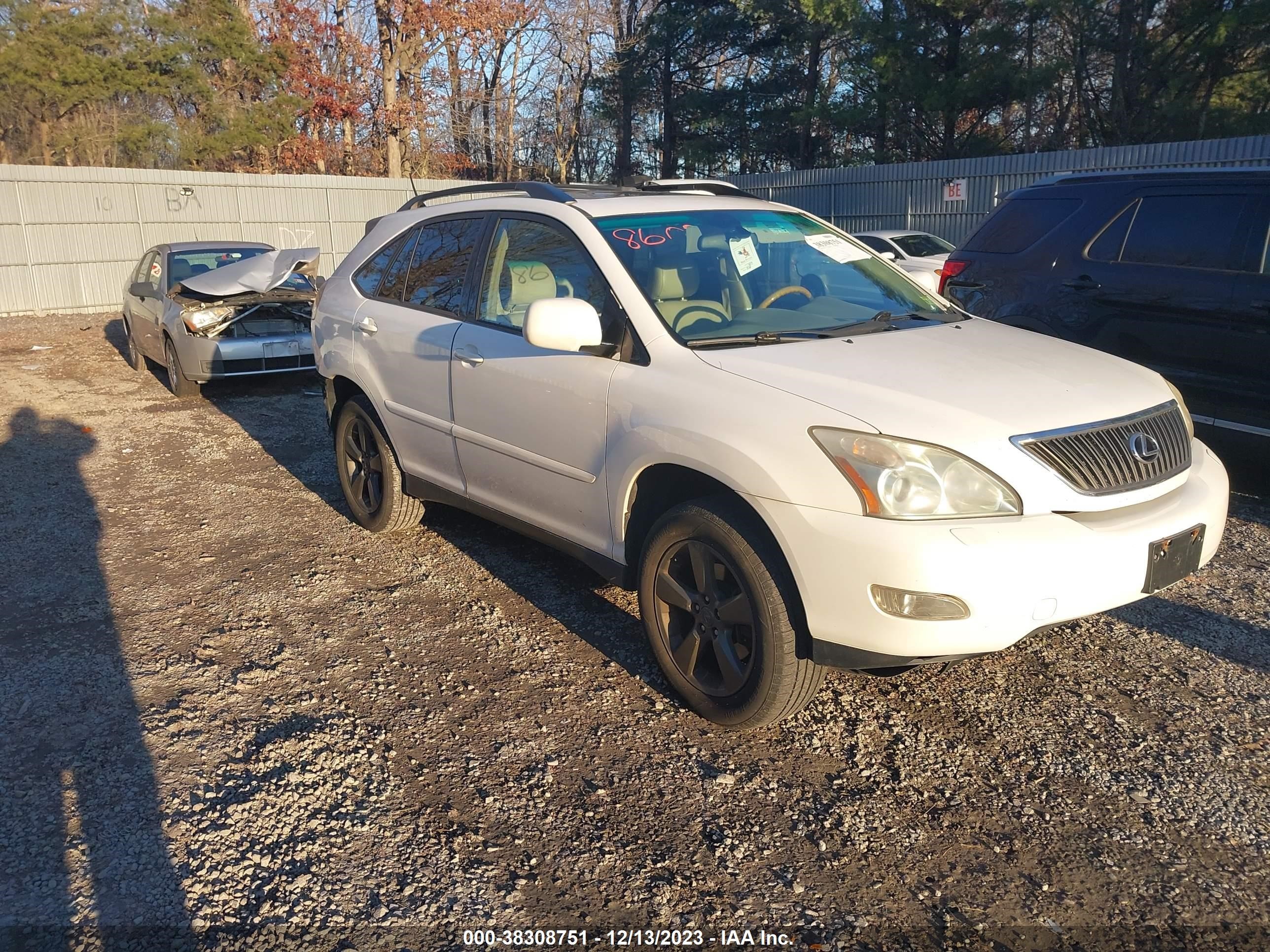 LEXUS RX 2004 jtjha31u140029724