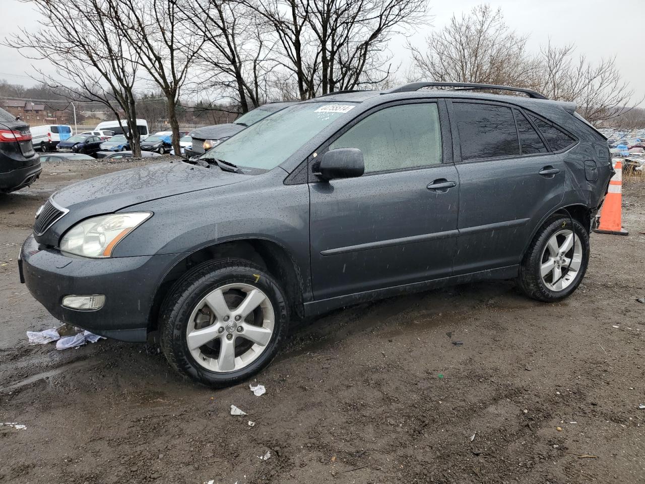 LEXUS RX 2004 jtjha31u140037077