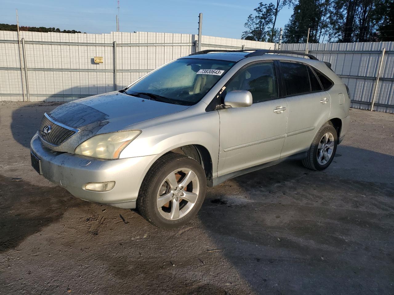 LEXUS RX 2004 jtjha31u140053800