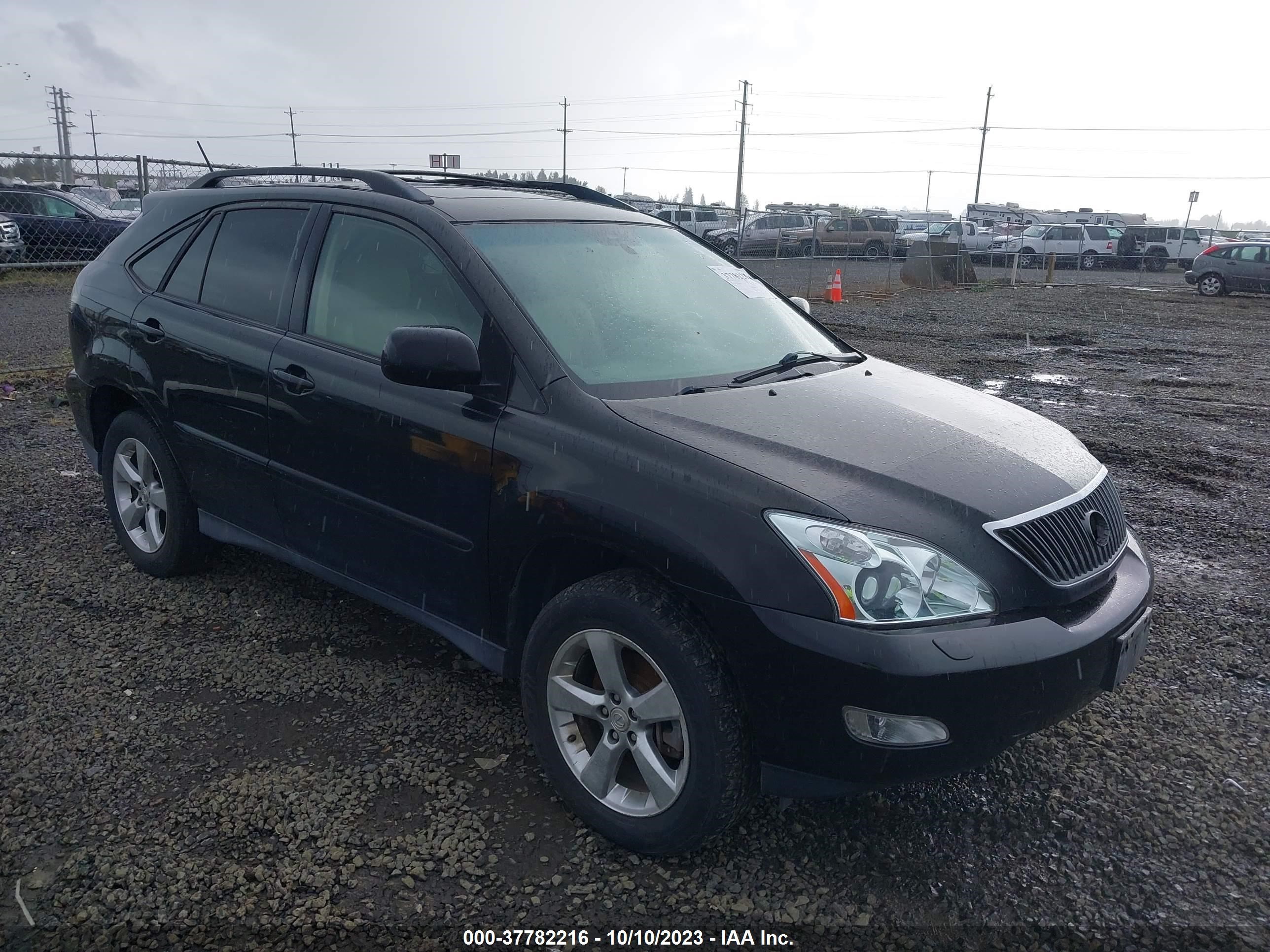 LEXUS RX 2004 jtjha31u240010745