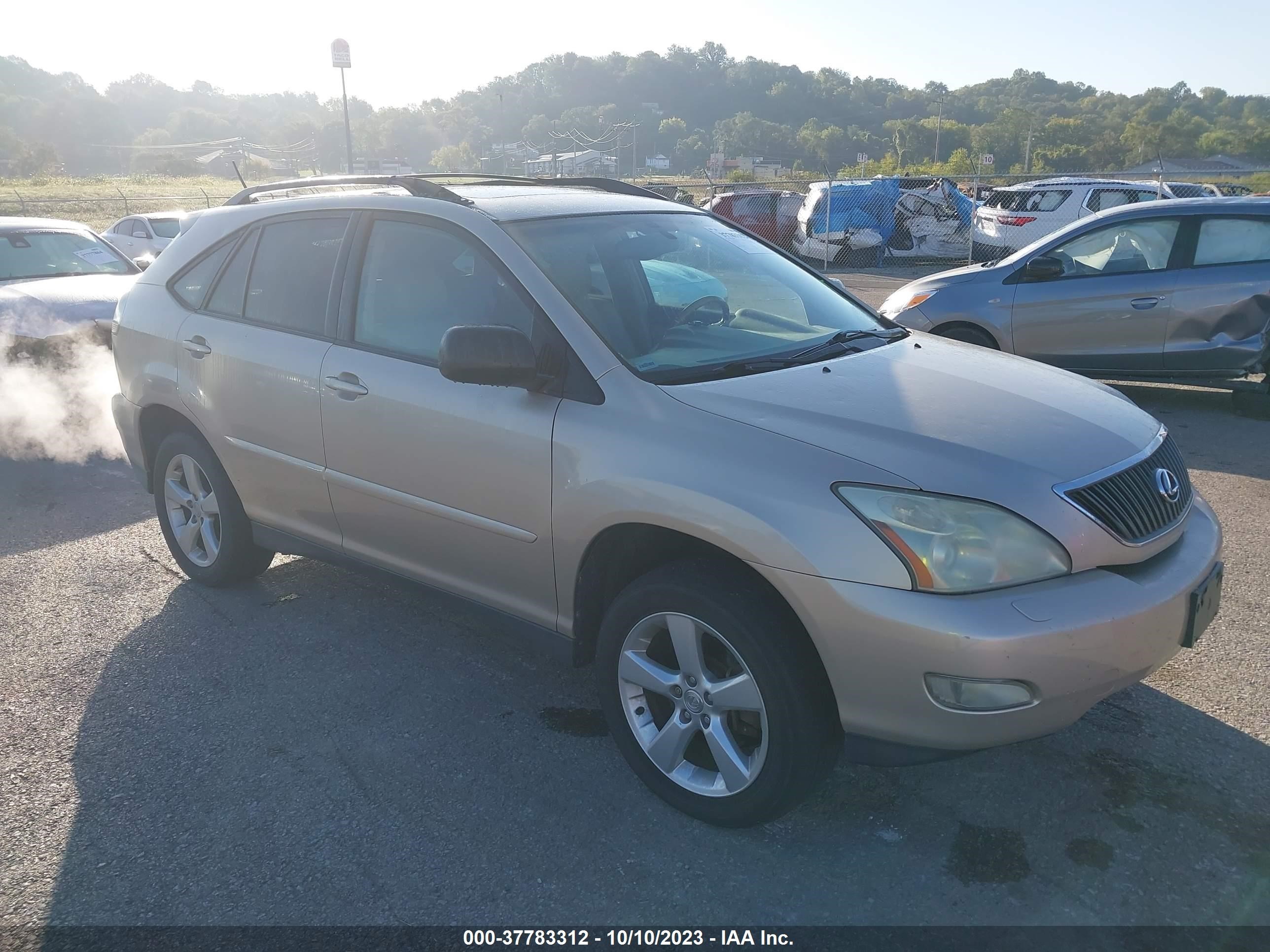 LEXUS RX 2004 jtjha31u340004940