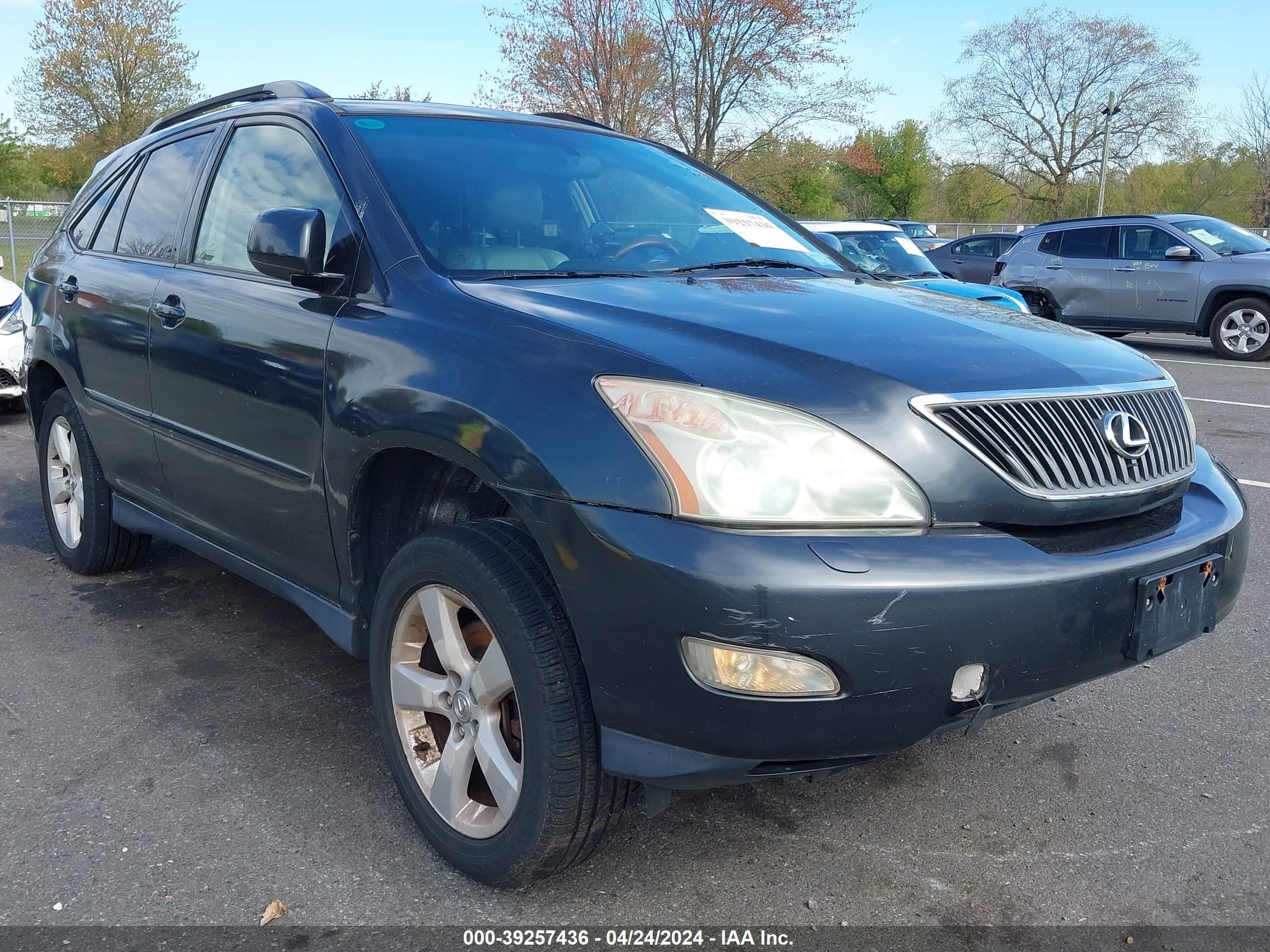 LEXUS RX 2004 jtjha31u340028879