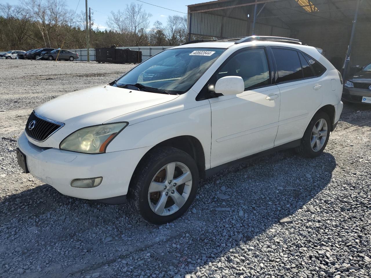 LEXUS RX 2004 jtjha31u340046038