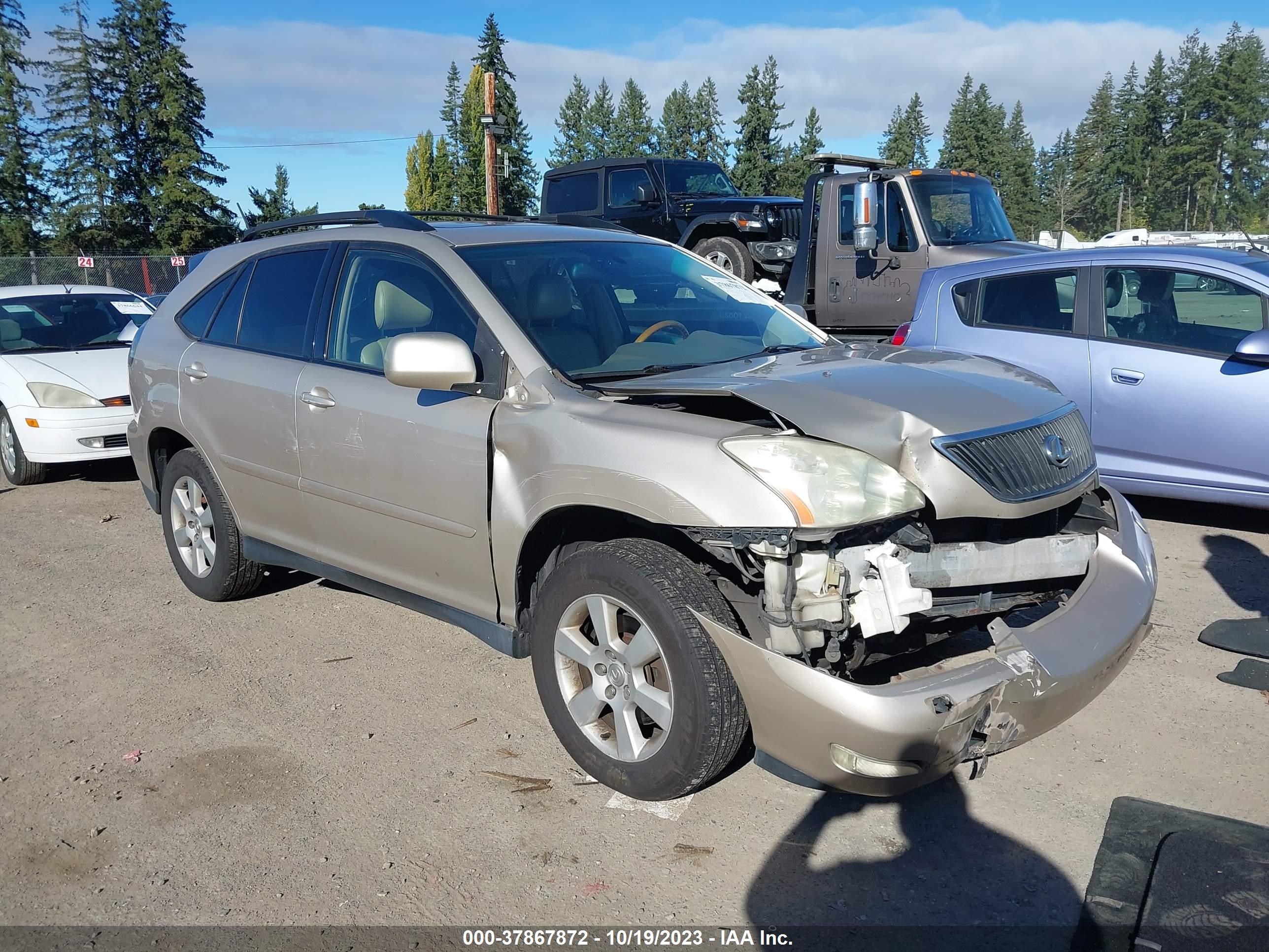 LEXUS RX 2004 jtjha31u340049831