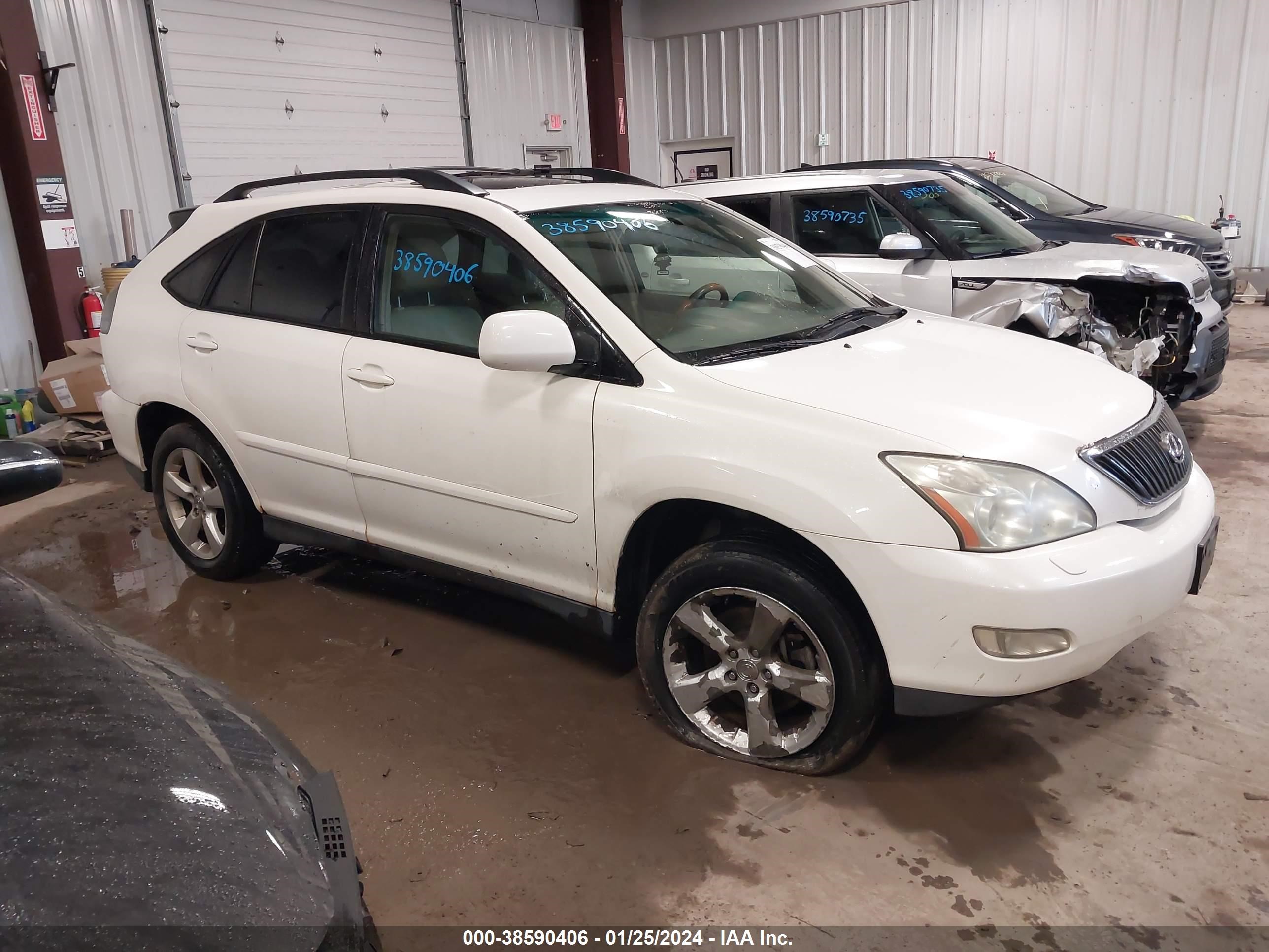 LEXUS RX 2004 jtjha31u440013727