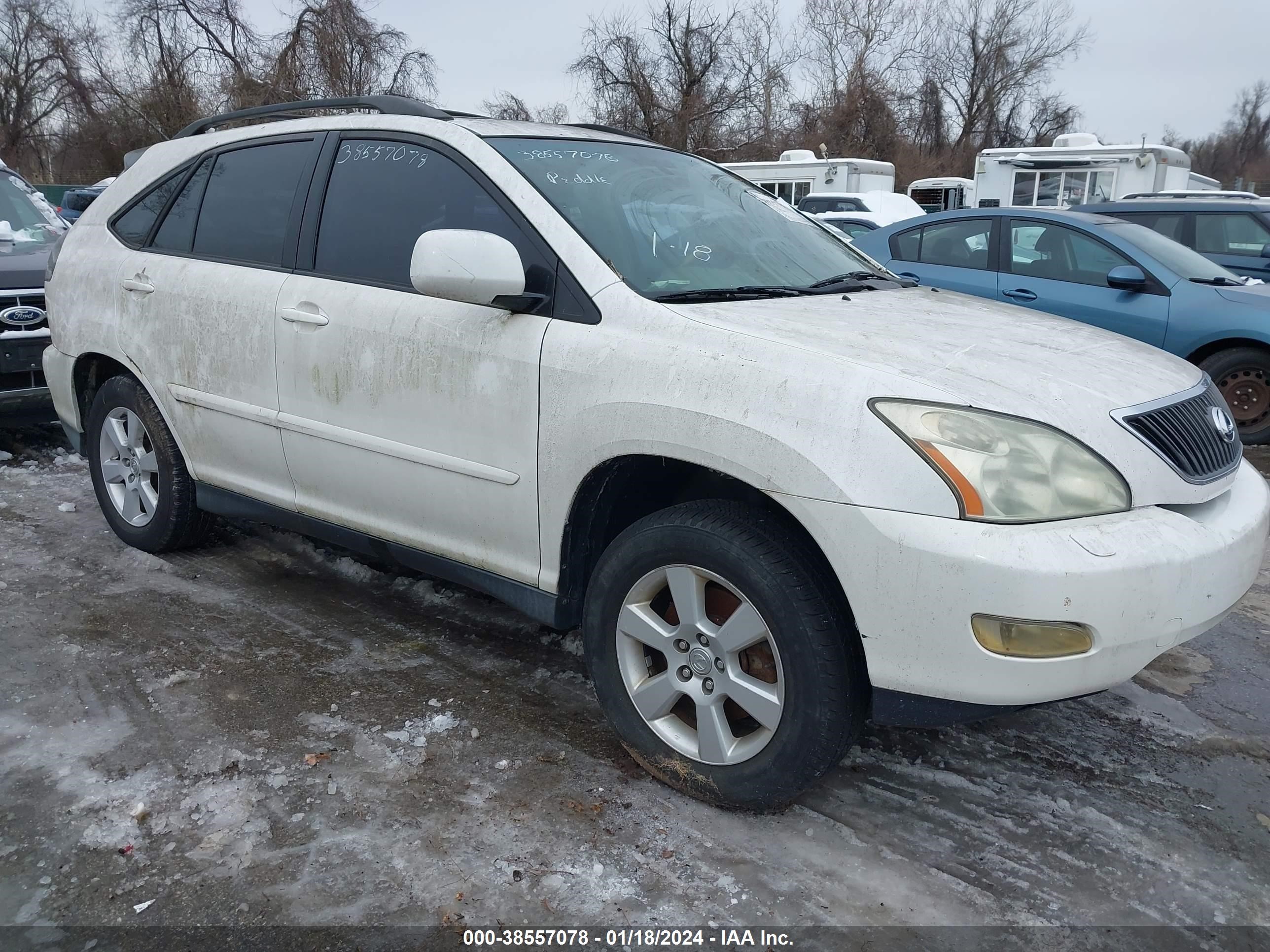 LEXUS RX 2004 jtjha31u440060546