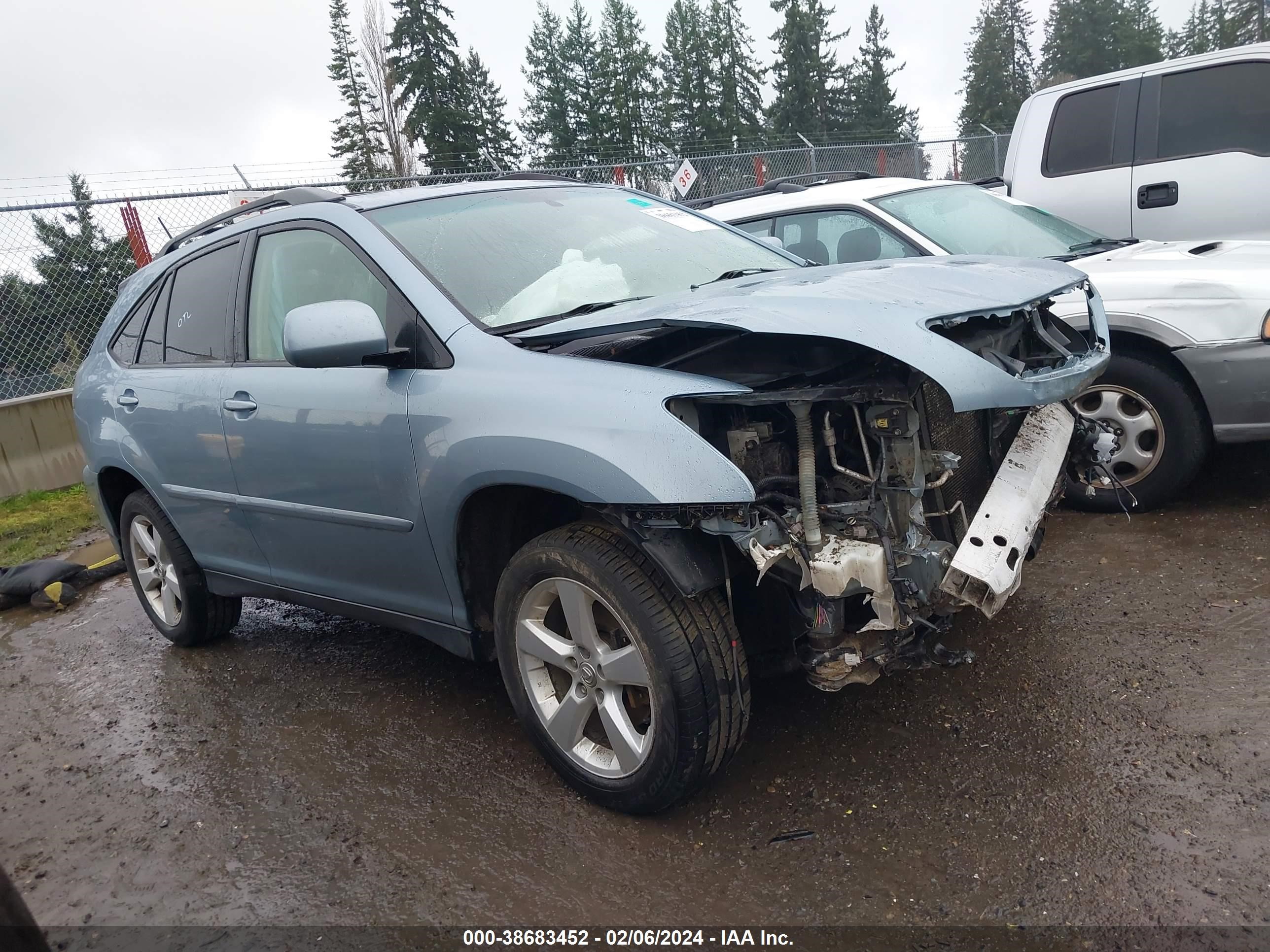 LEXUS RX 2005 jtjha31u550079205