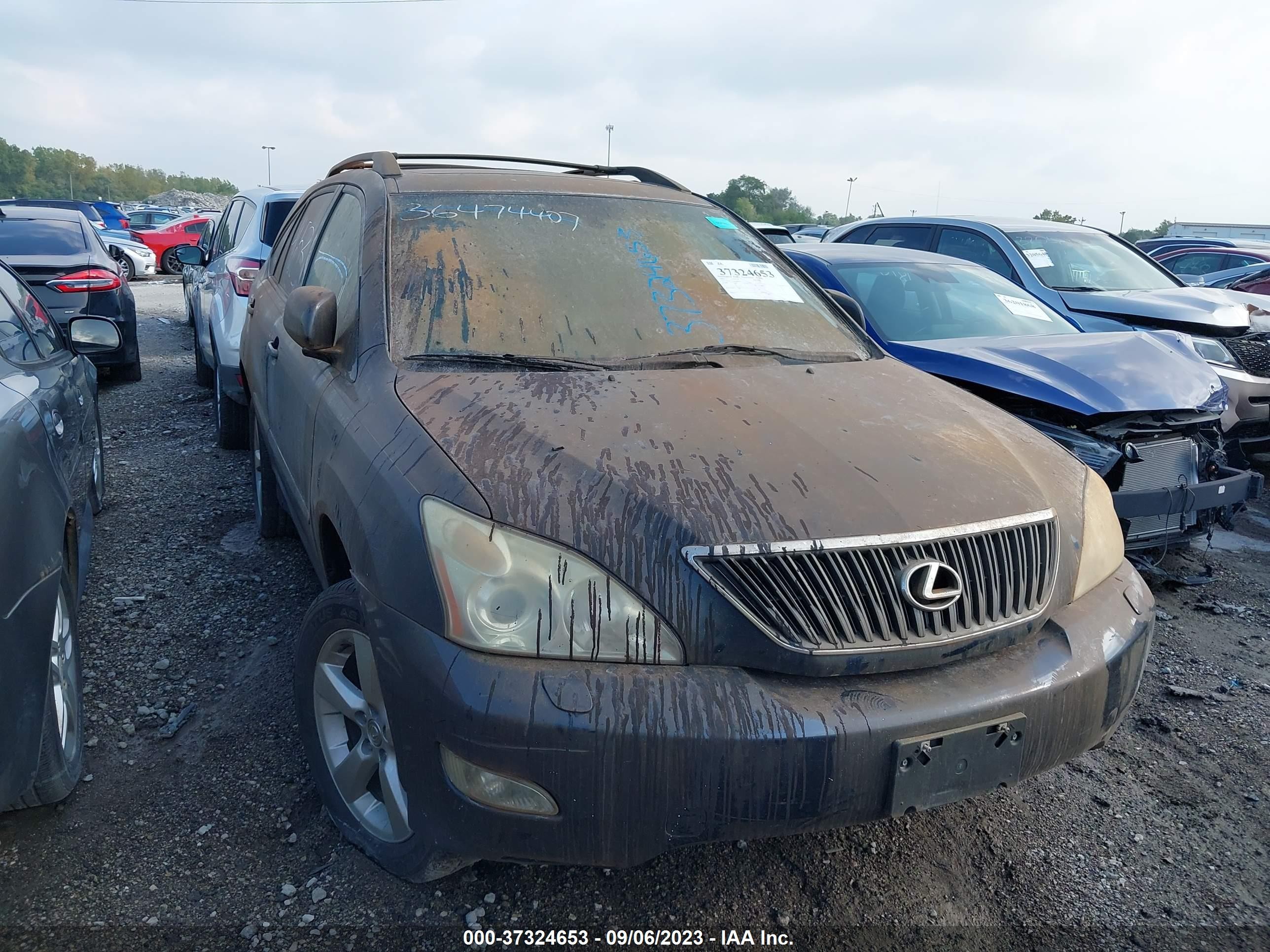 LEXUS RX 2004 jtjha31u640009145