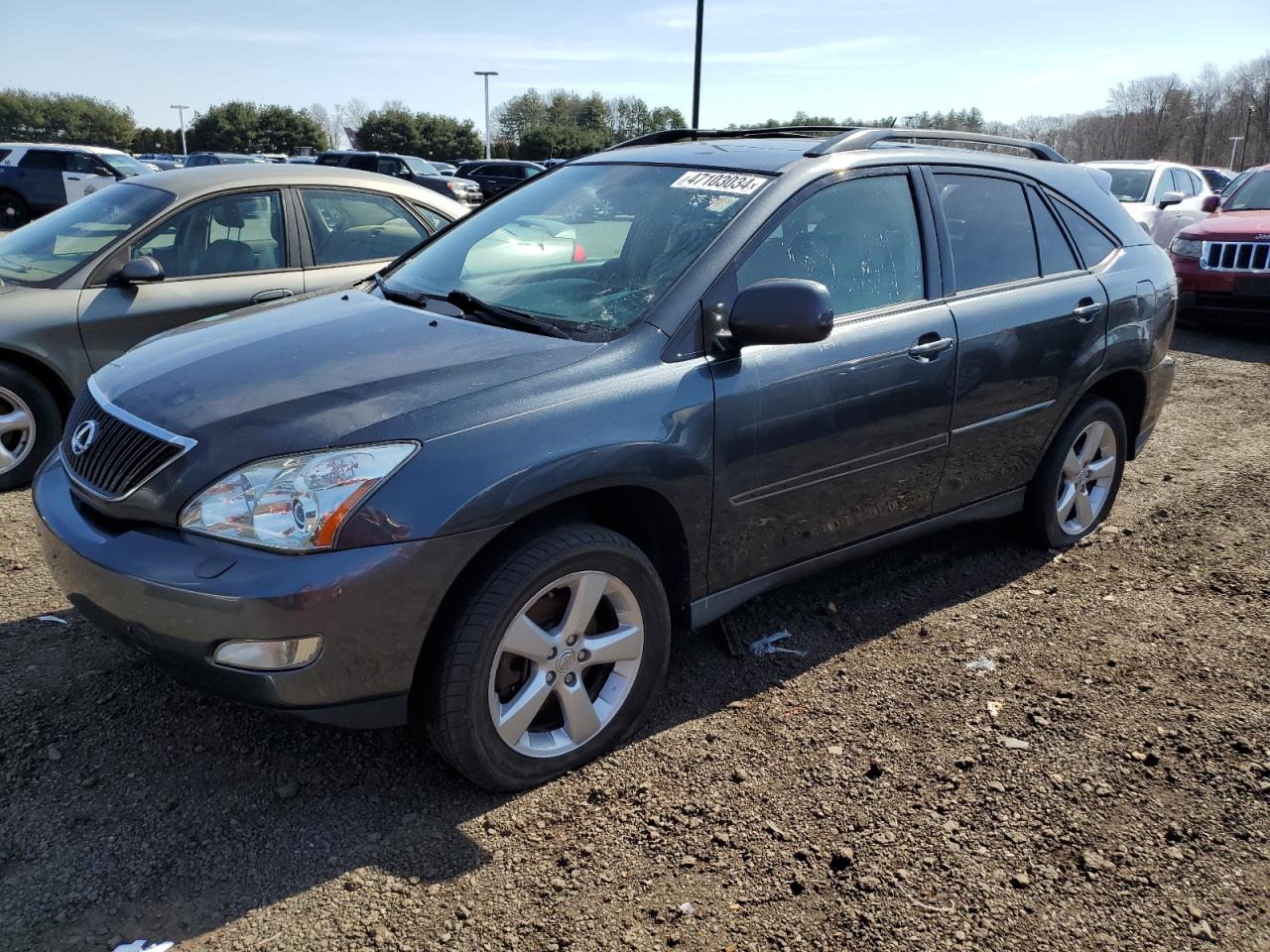 LEXUS RX 2004 jtjha31u640016774