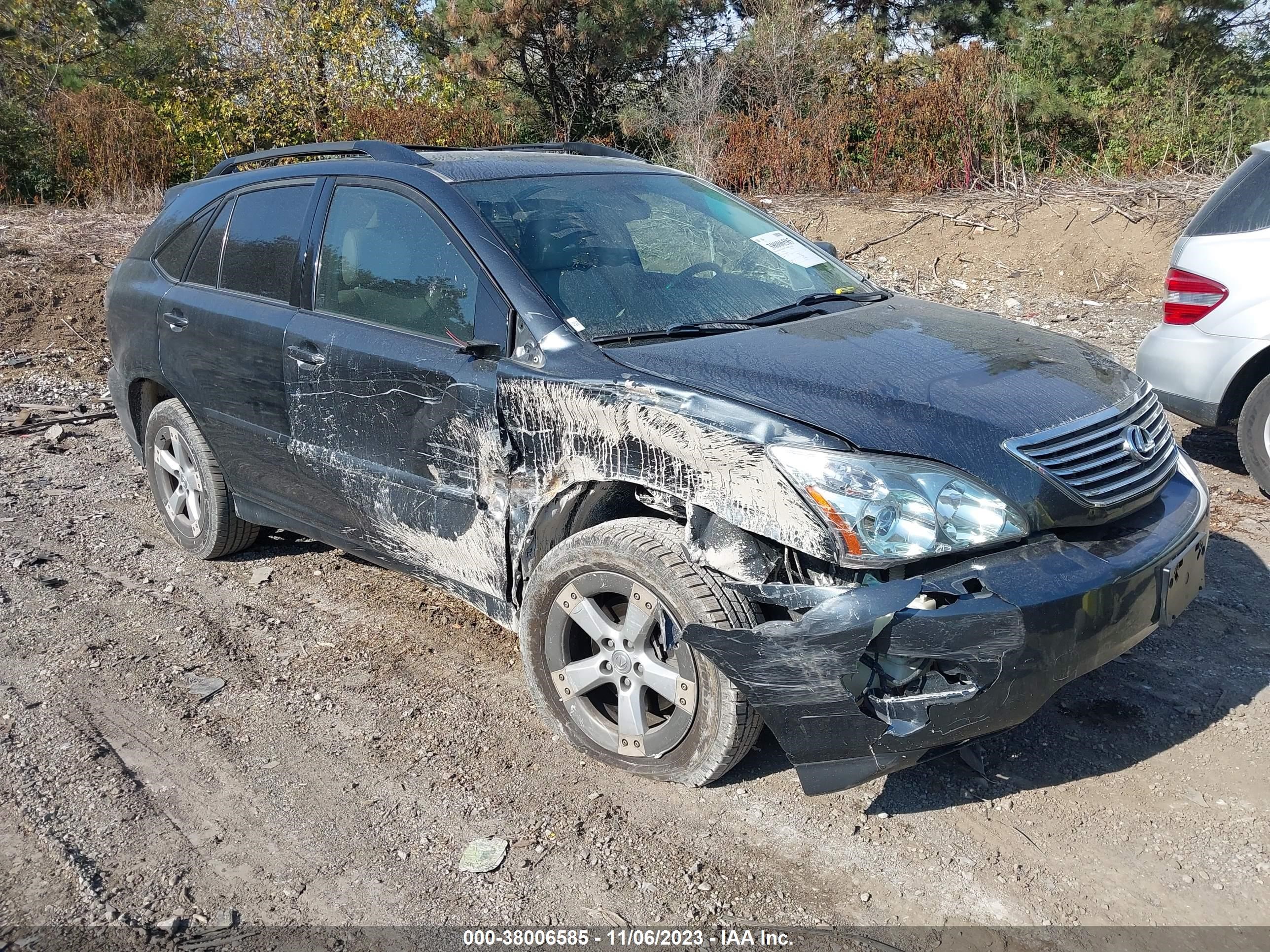 LEXUS RX 2005 jtjha31u650089385