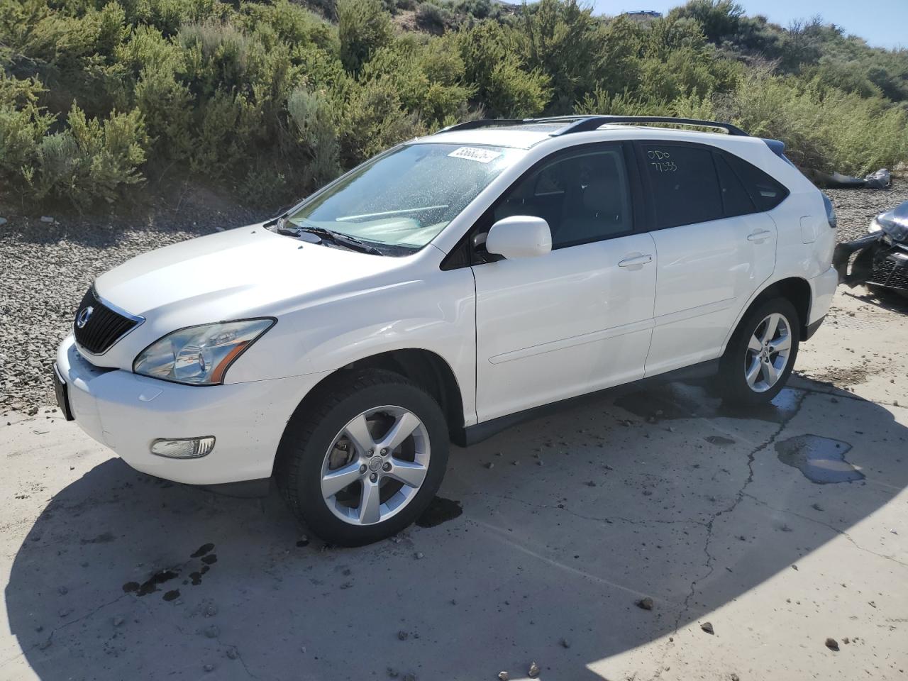 LEXUS RX 2006 jtjha31u660105327