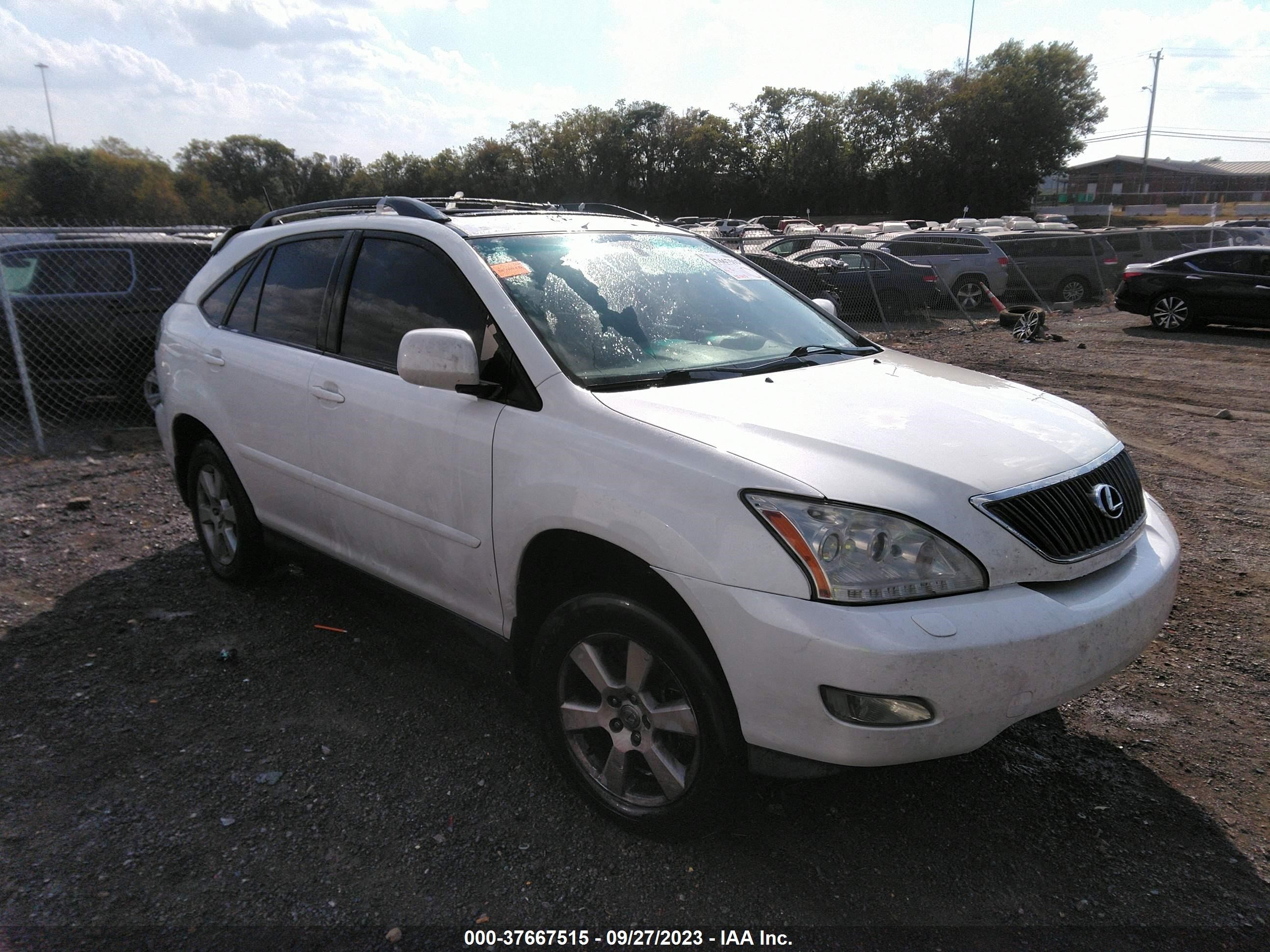 LEXUS RX 2004 jtjha31u740006075