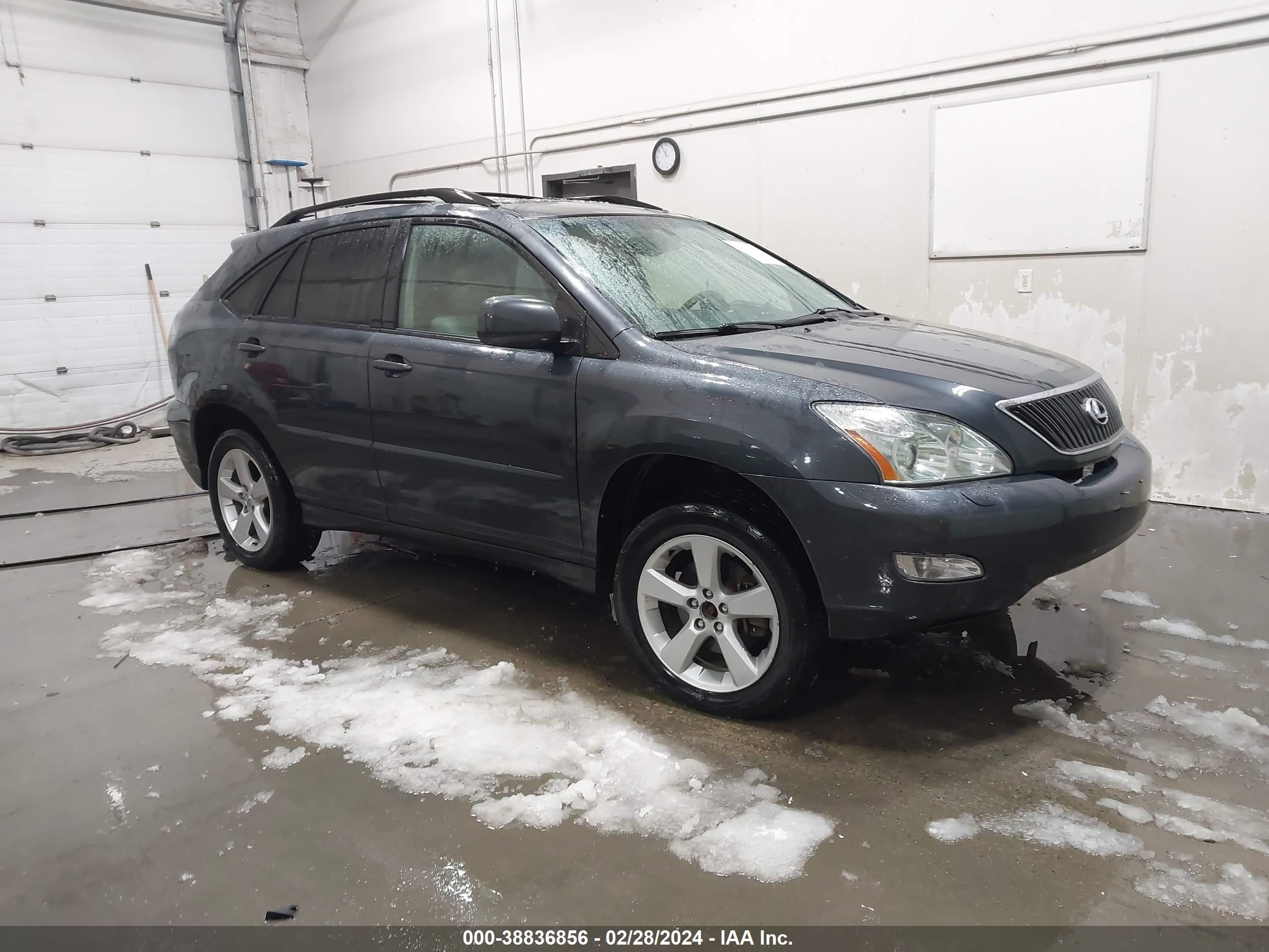 LEXUS RX 2004 jtjha31u740014614