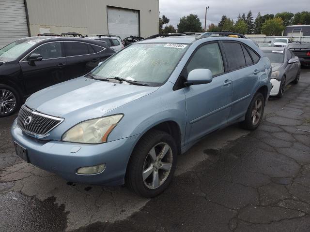 LEXUS RX 330 2004 jtjha31u740066387