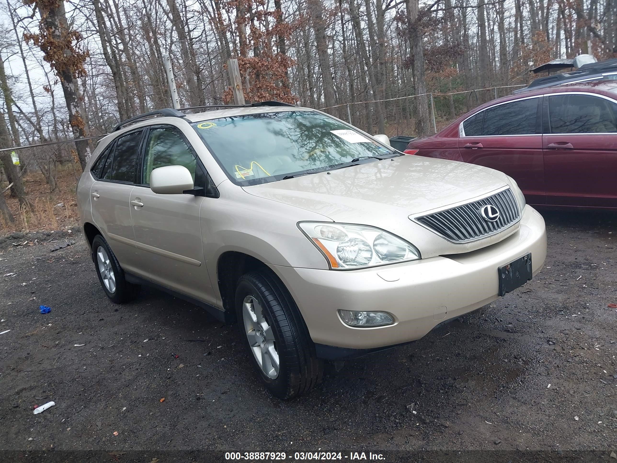 LEXUS RX 2004 jtjha31u940007499