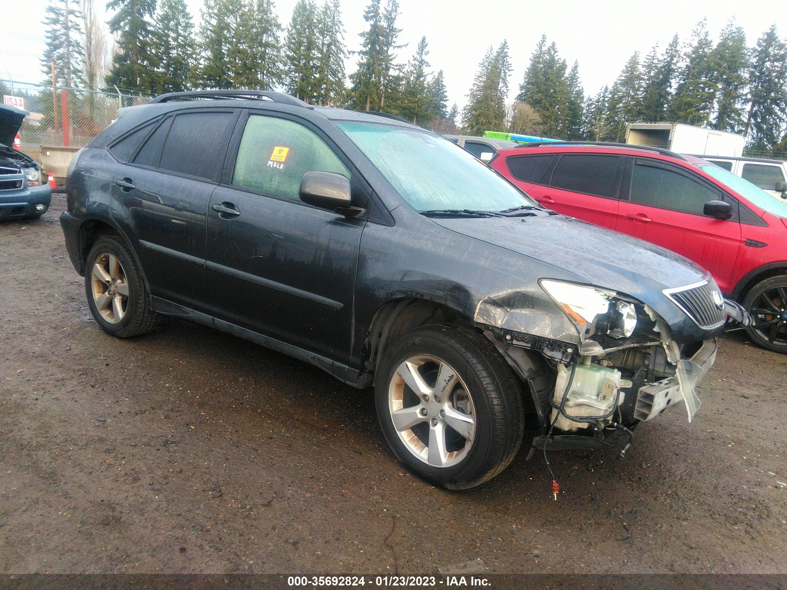 LEXUS RX 2004 jtjha31u940016378