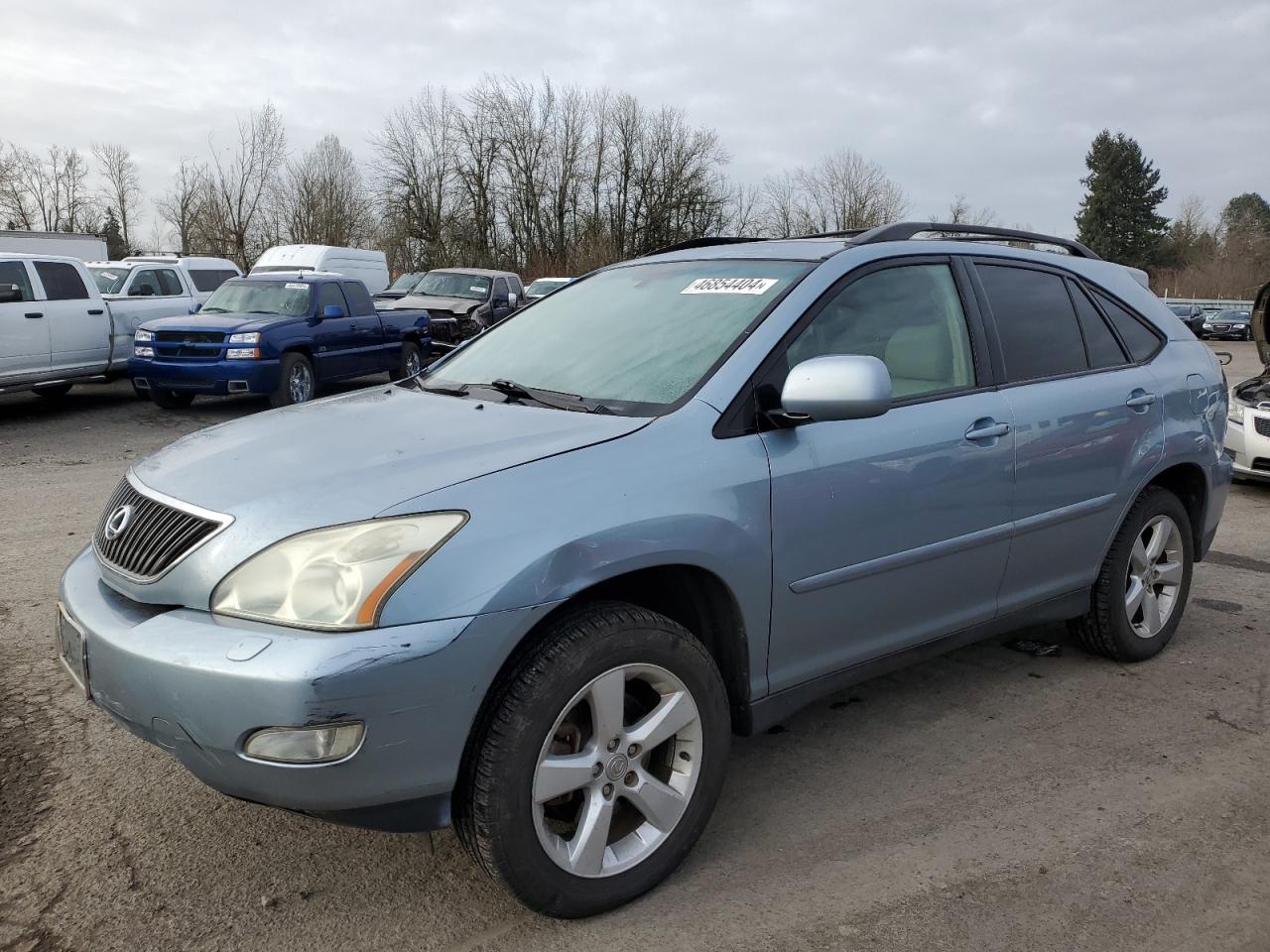 LEXUS RX 2004 jtjha31ux40056193