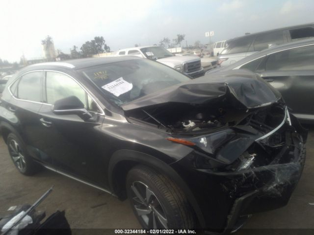 LEXUS NX 2020 jtjharbz5l5014495