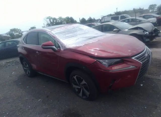 LEXUS NX 2021 jtjhardz3m5026823