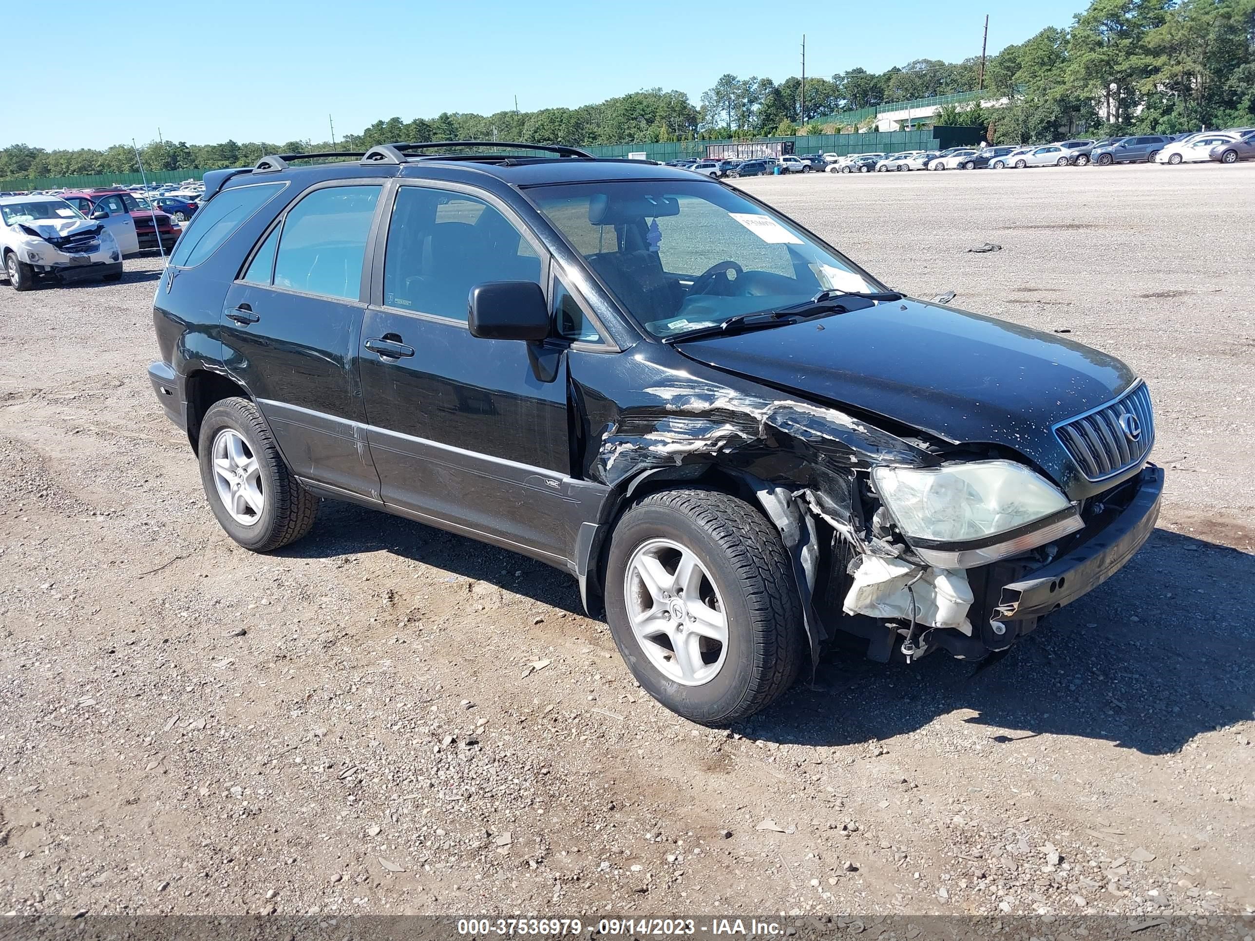 LEXUS RX 2002 jtjhf10u520247248