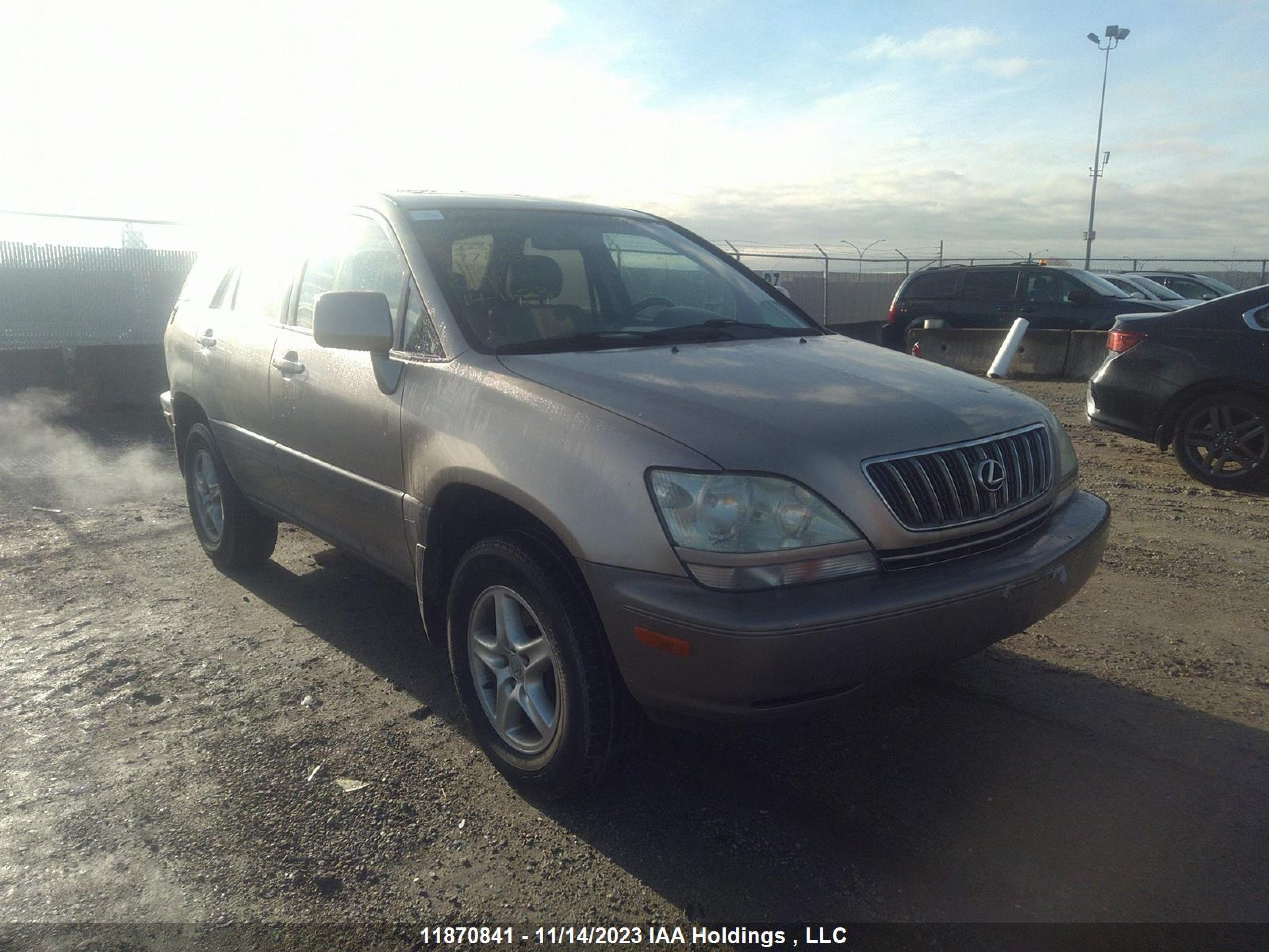 LEXUS RX 2001 jtjhf10u710228604