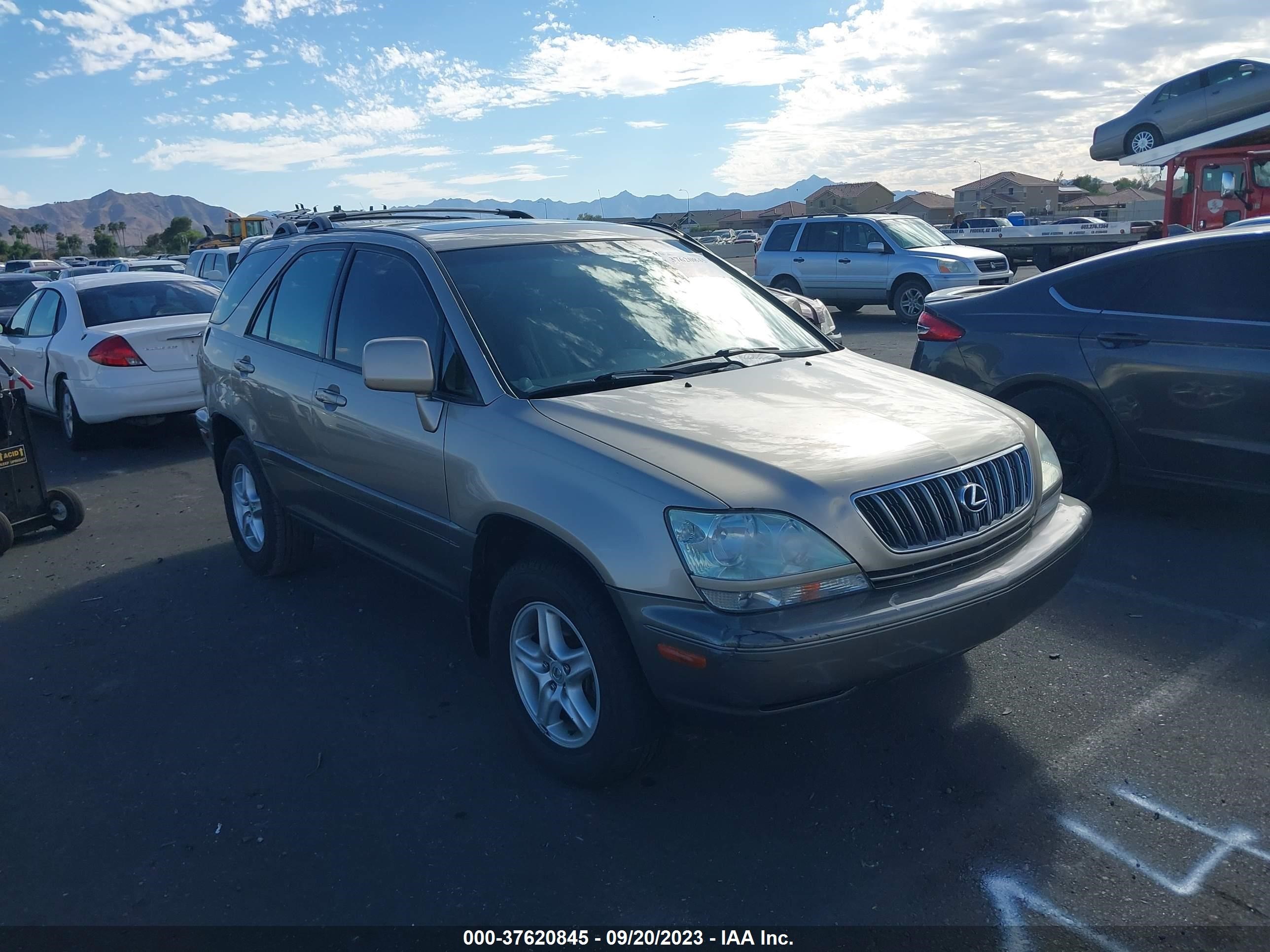 LEXUS RX 2001 jtjhf10u910171340