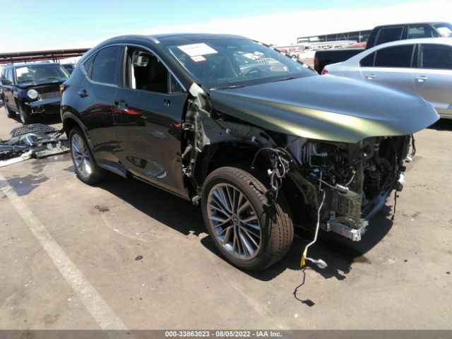 LEXUS NX 2022 jtjhgcez1n2005370