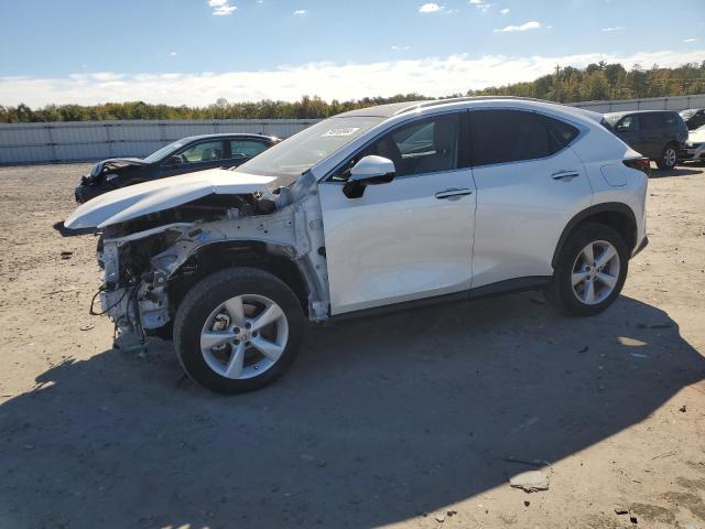 LEXUS NX 350 LUX 2024 jtjhgcez2r2018411