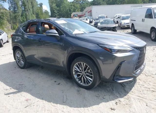 LEXUS NX 2022 jtjhgcez5n2007705