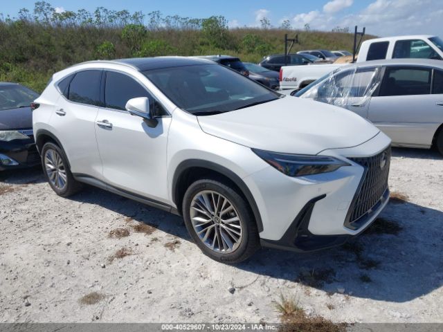 LEXUS NX 2022 jtjhgcez8n2007570