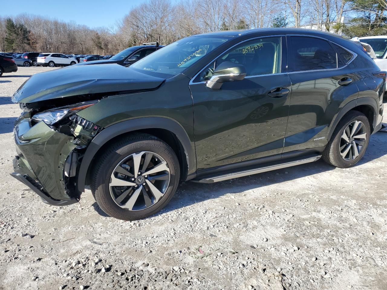 LEXUS NX 2021 jtjhjrdz4m2151718