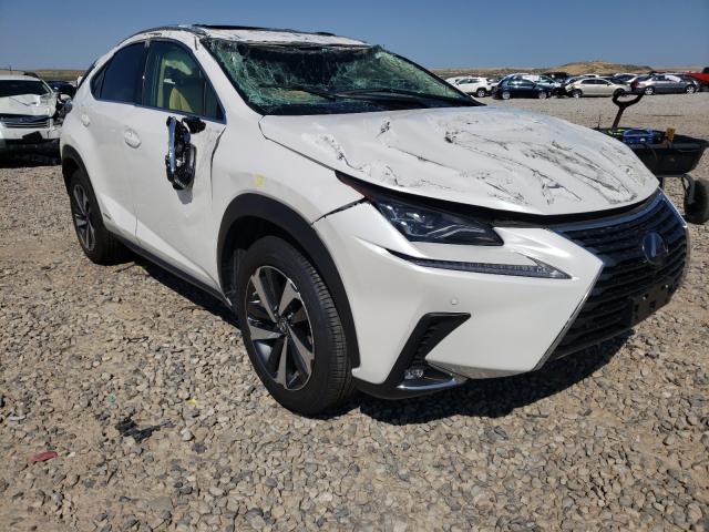 LEXUS NX 300H BA 2021 jtjhjrdz6m2155415