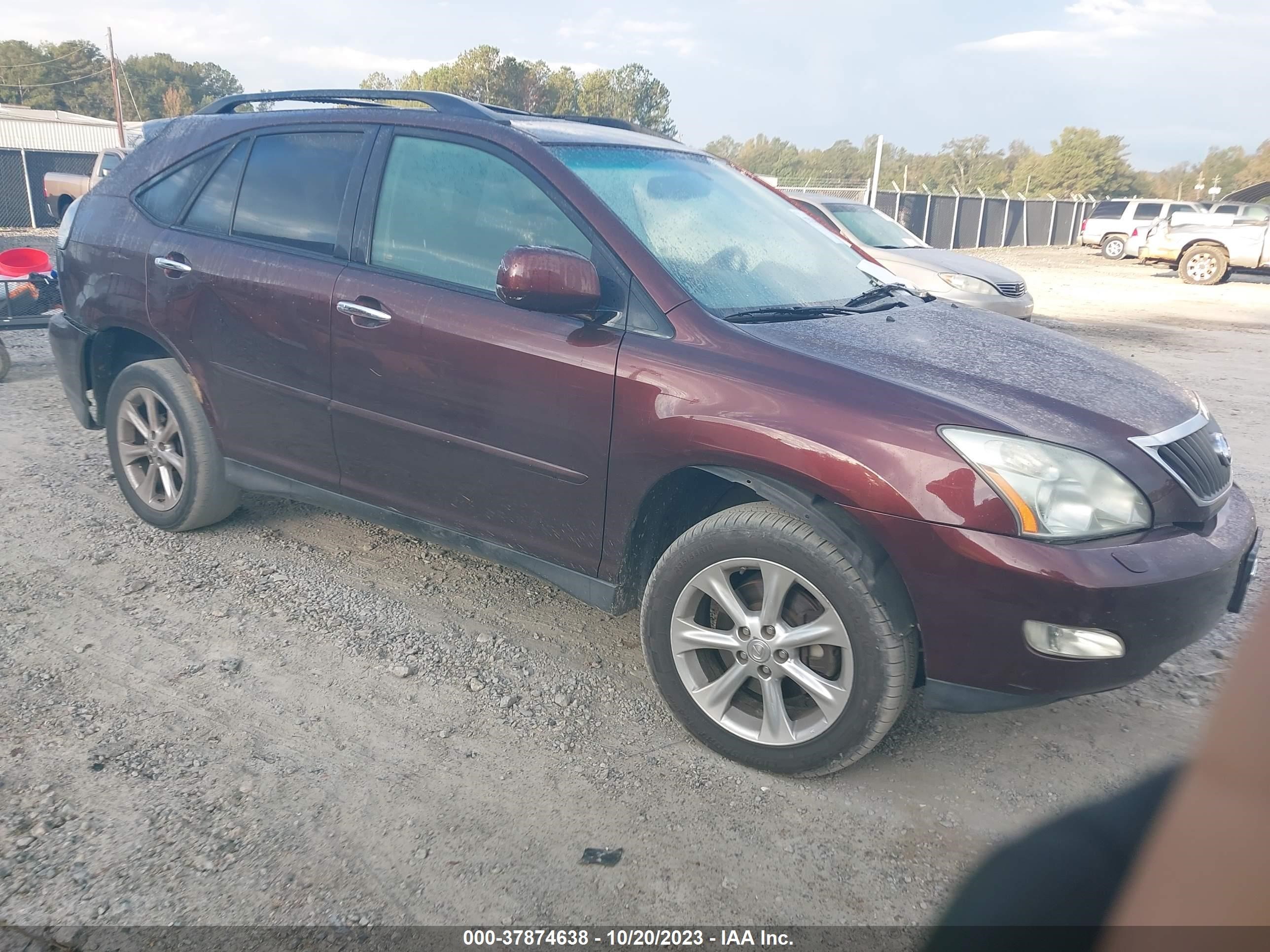 LEXUS RX 2008 jtjhk31u182034431