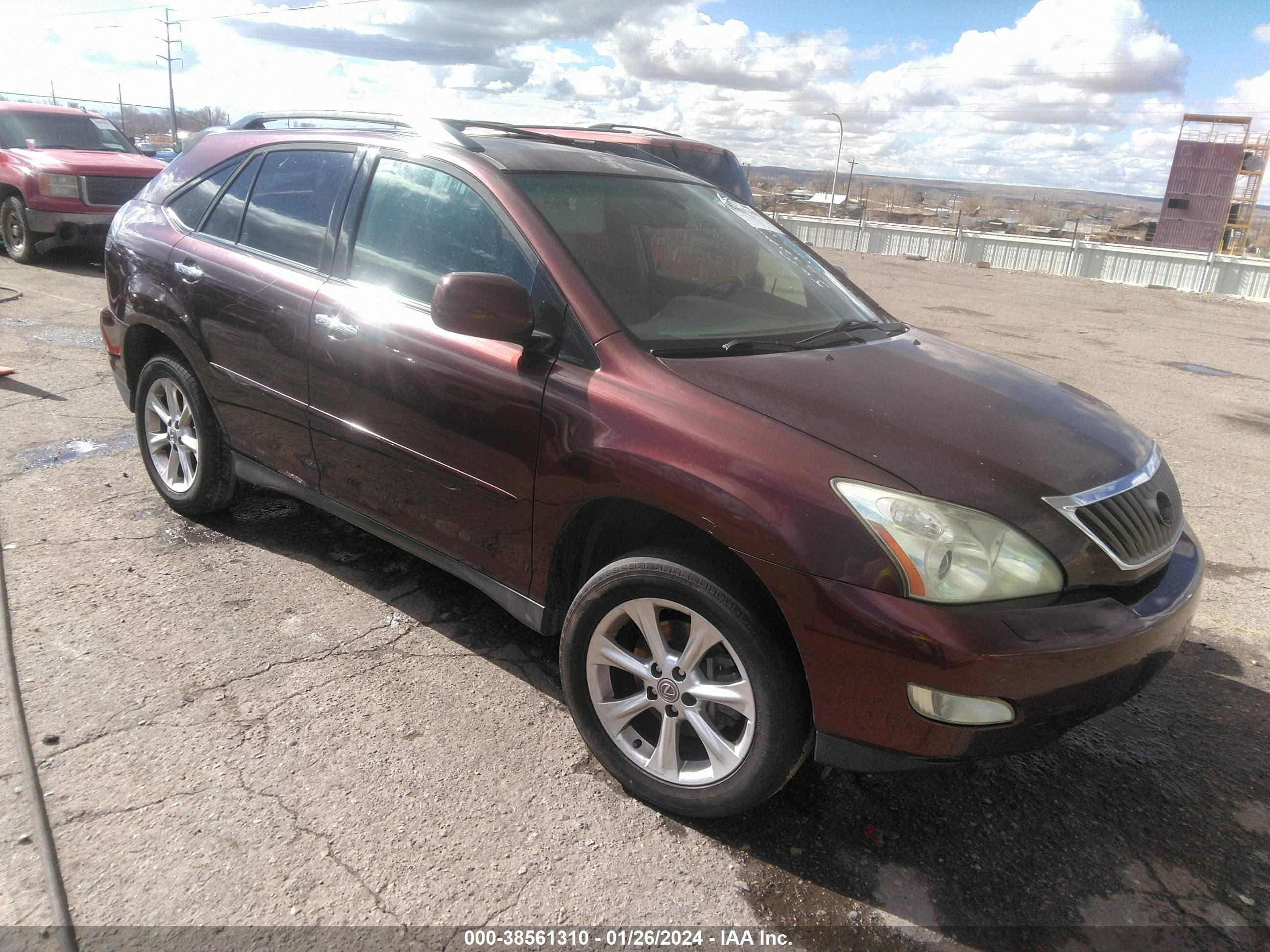 LEXUS RX 2008 jtjhk31u382039310