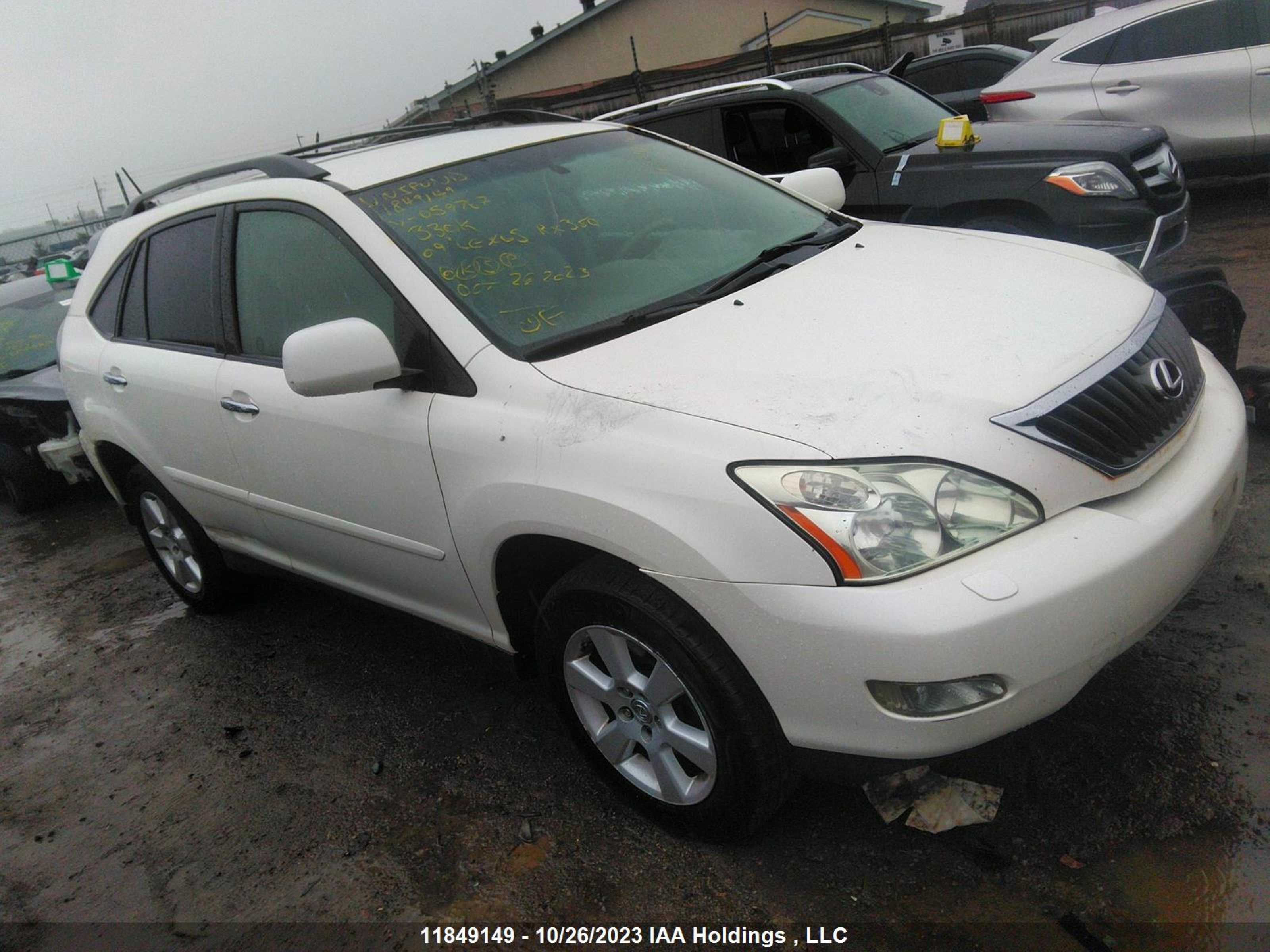 LEXUS RX 2009 jtjhk31u392059767